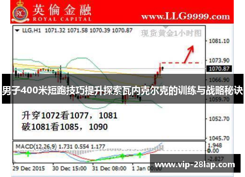 男子400米短跑技巧提升探索瓦内克尔克的训练与战略秘诀