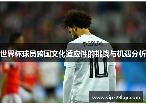 世界杯球员跨国文化适应性的挑战与机遇分析