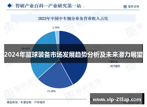 2024年篮球装备市场发展趋势分析及未来潜力展望