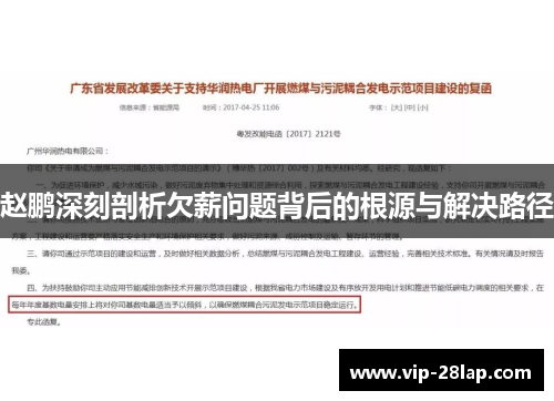 赵鹏深刻剖析欠薪问题背后的根源与解决路径